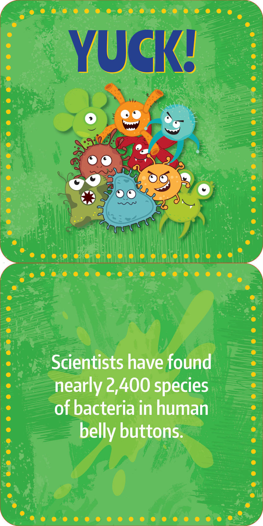 Lunch Box Notes - Gross Facts