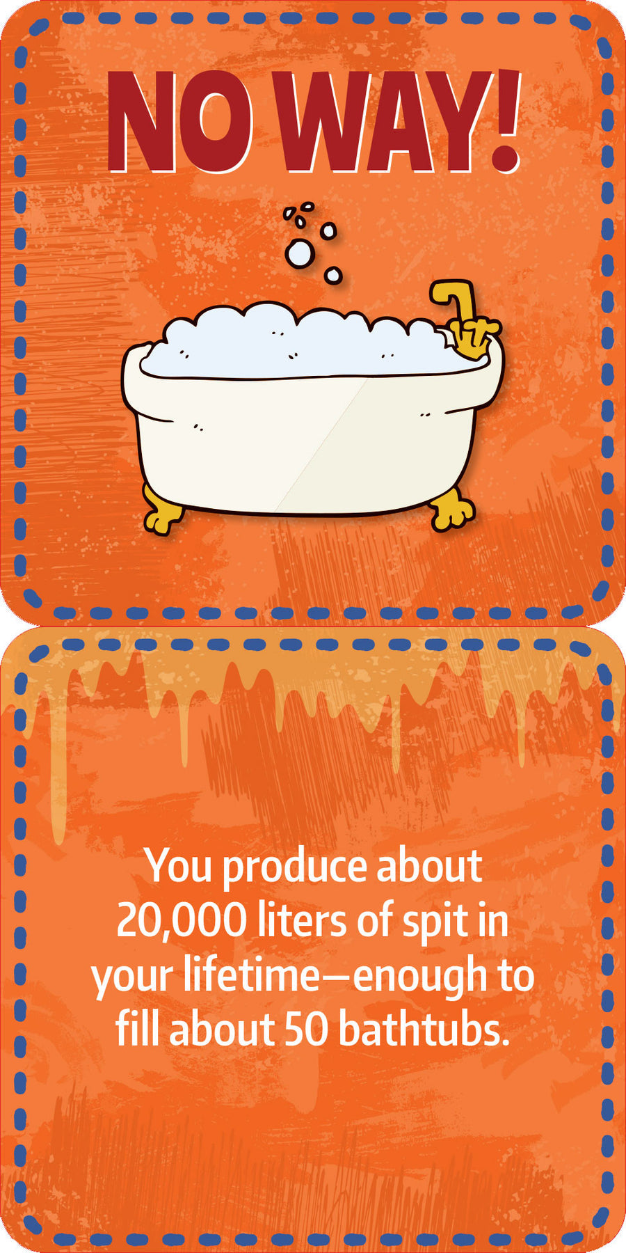 Lunch Box Notes - Gross Facts