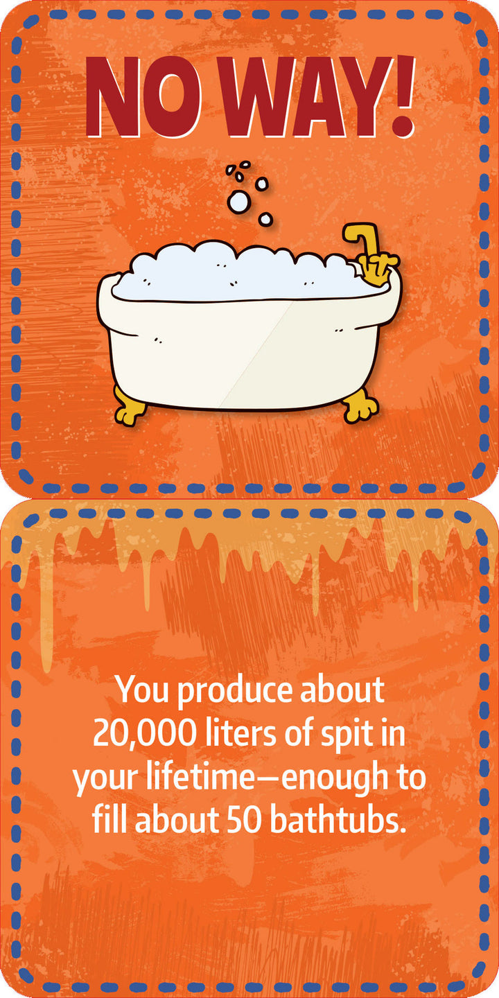 Lunch Box Notes - Gross Facts