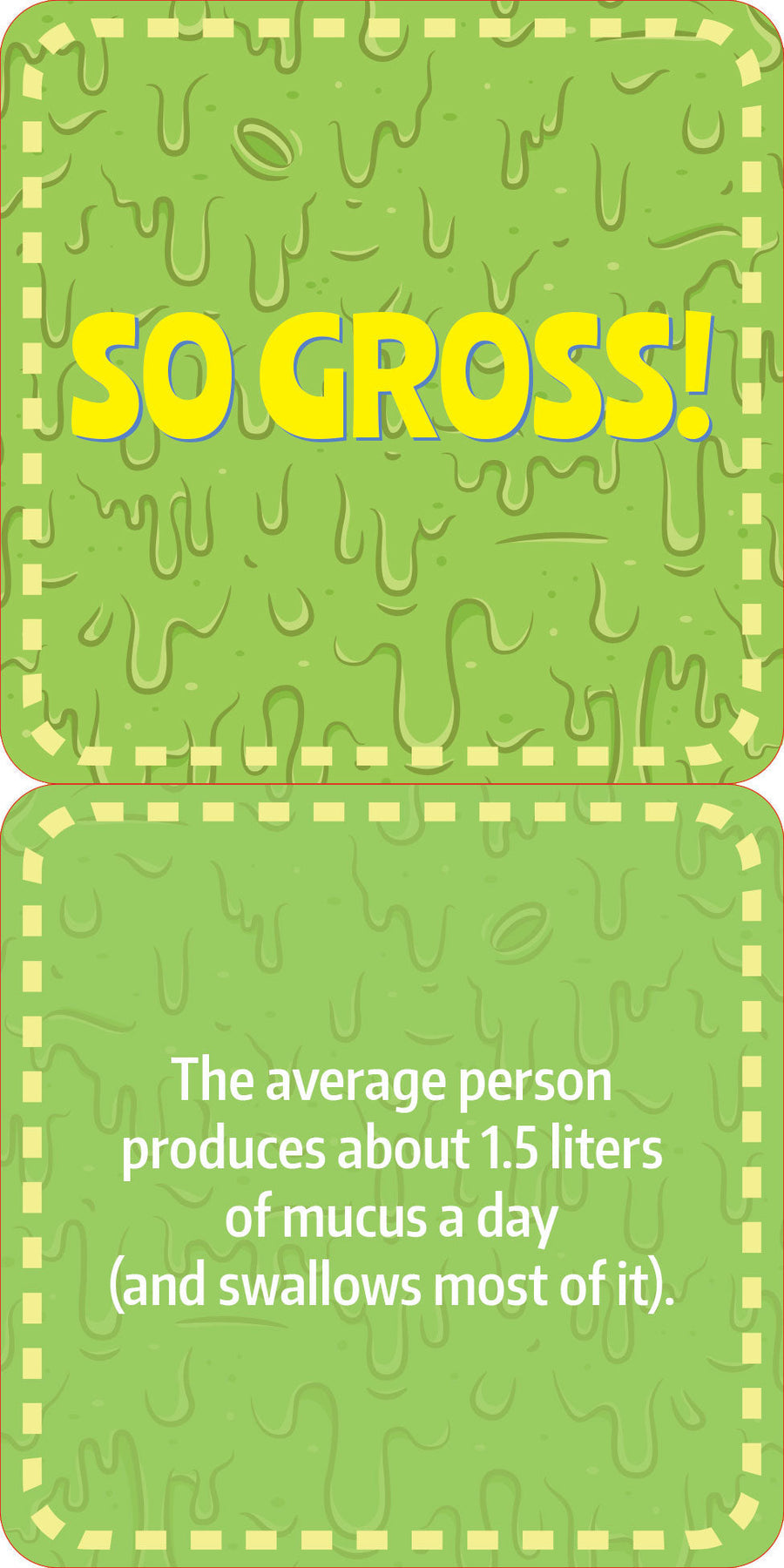 Lunch Box Notes - Gross Facts