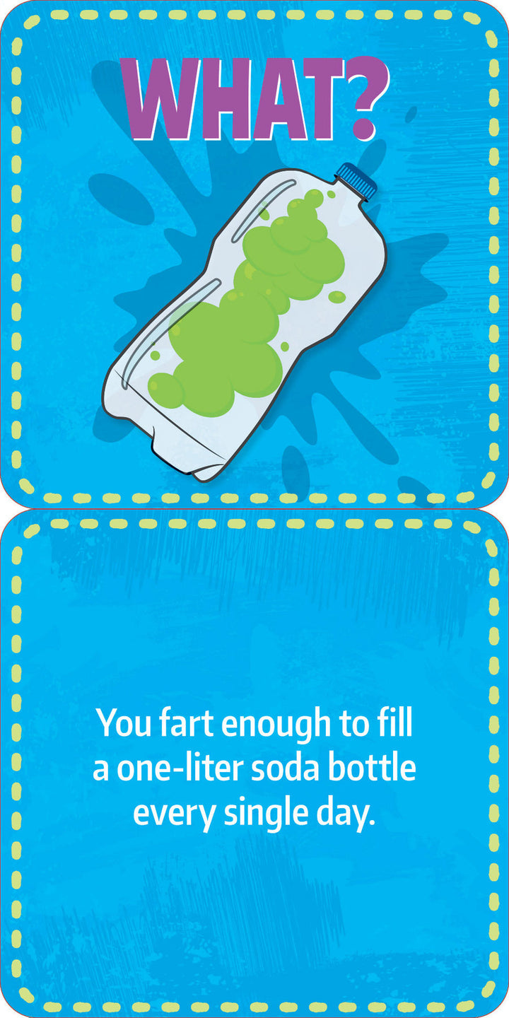 Lunch Box Notes - Gross Facts