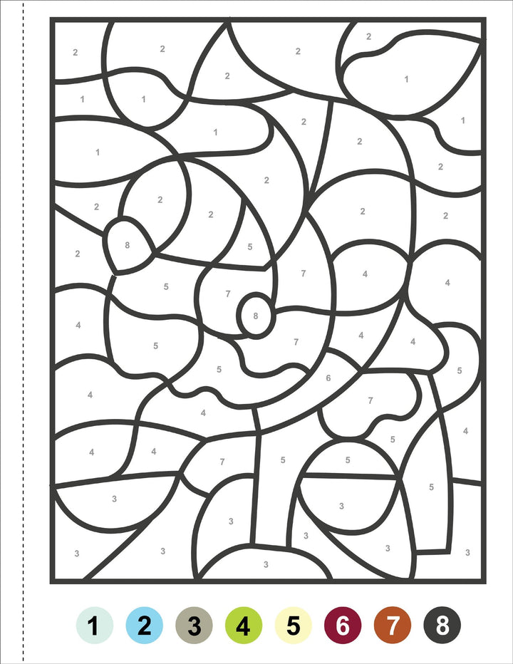 Colour By Number - Animals