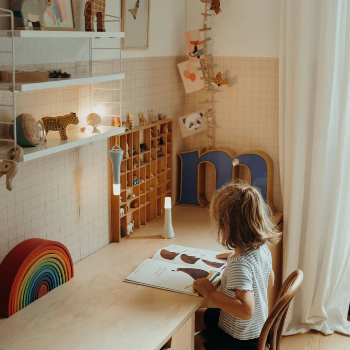 Multifunction Torch | Kidy Flashlight