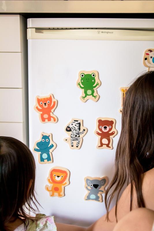 Wooden Magnetic Jungle Set