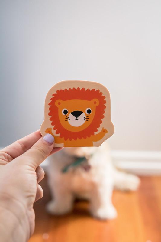 Wooden Magnetic Jungle Set