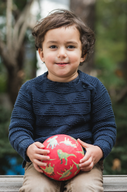 7 inch Ball - Dinosaurs Red