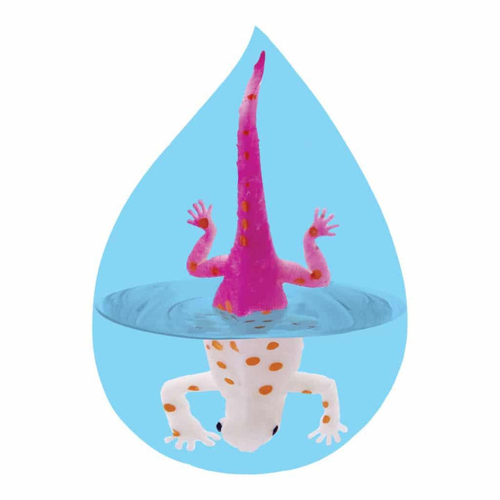 Colour Changing Revealeons