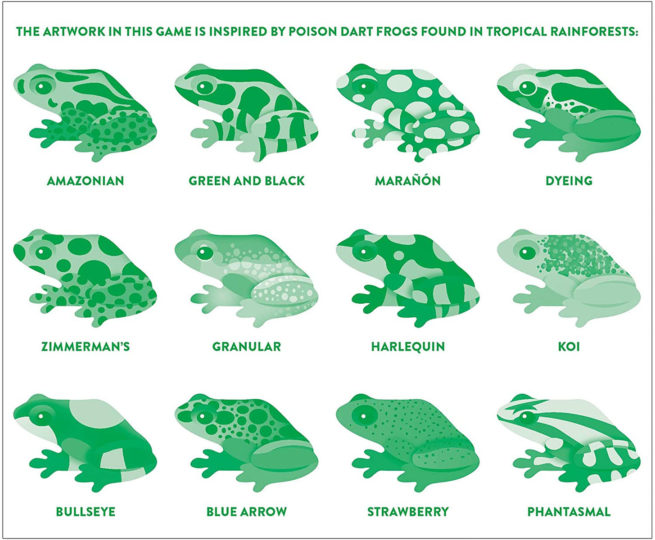 Shaped Memory Match - Tropical Frogs