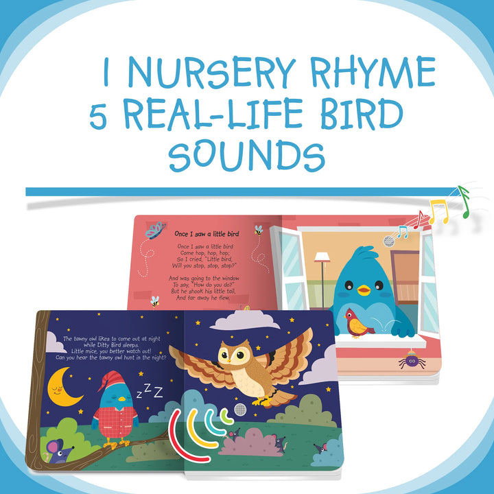 Ditty Bird Sound Book - Bird Songs