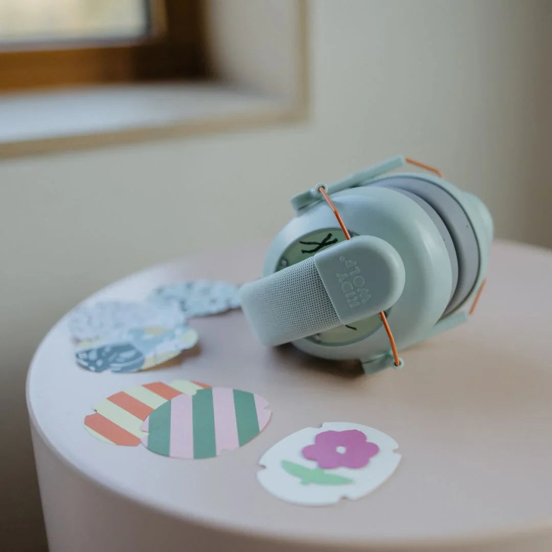 Kidy-Noise Headphones