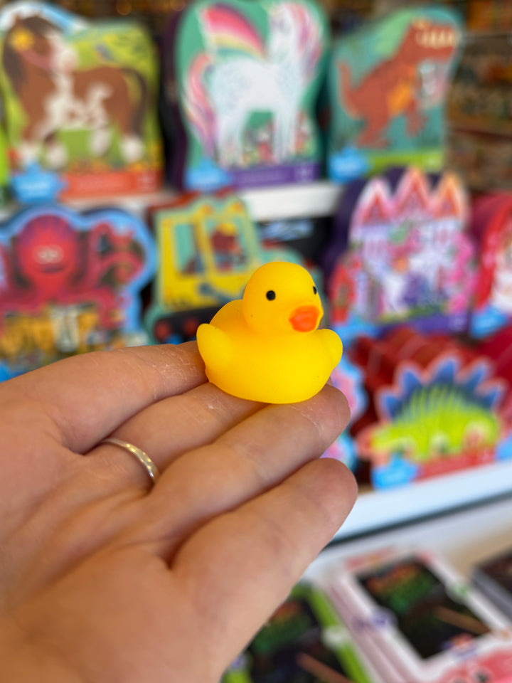 Squeezy Duckling