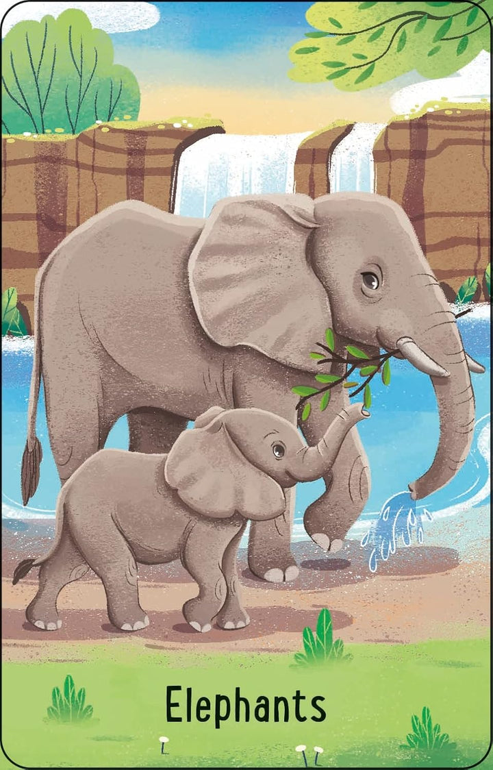Snap - Zoo