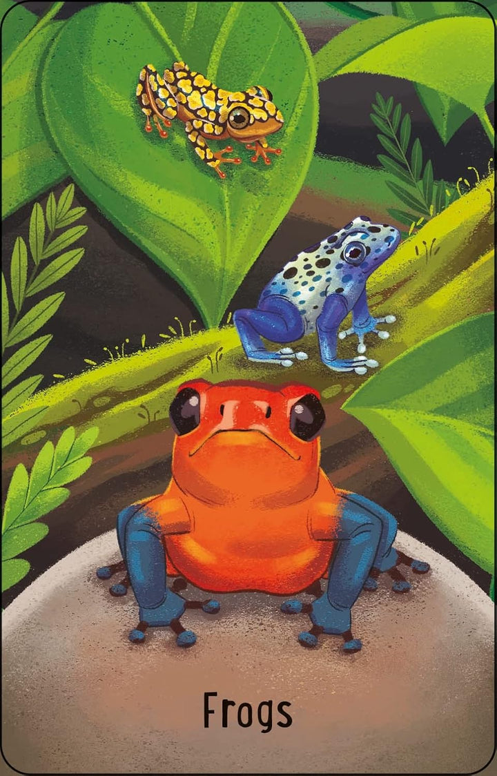 Snap - Zoo