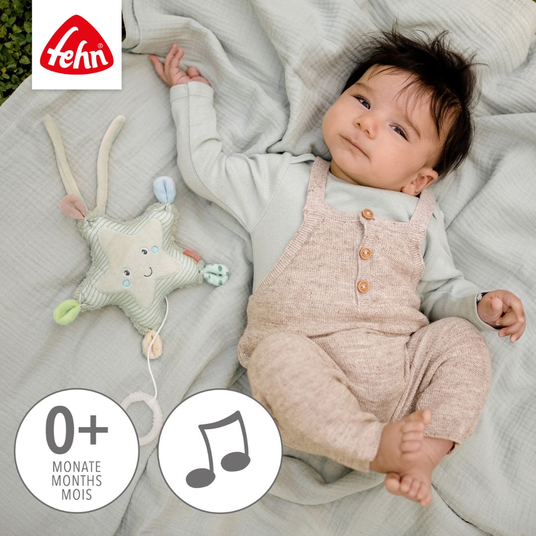 Musical Toy - Mini Starfish