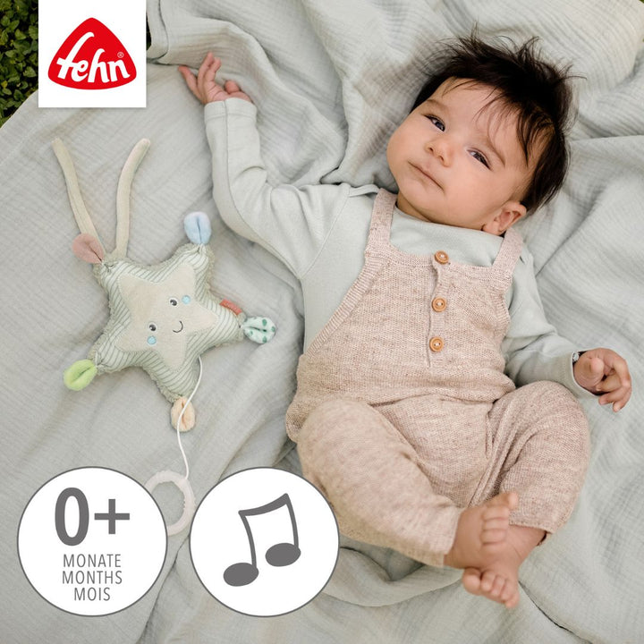 Musical Toy - Mini Starfish