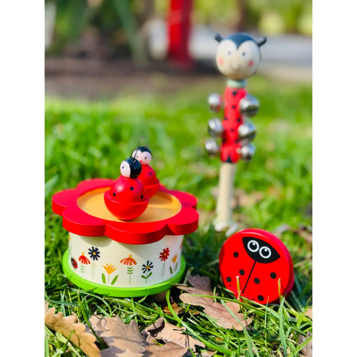 Music Box - Twin Ladybug