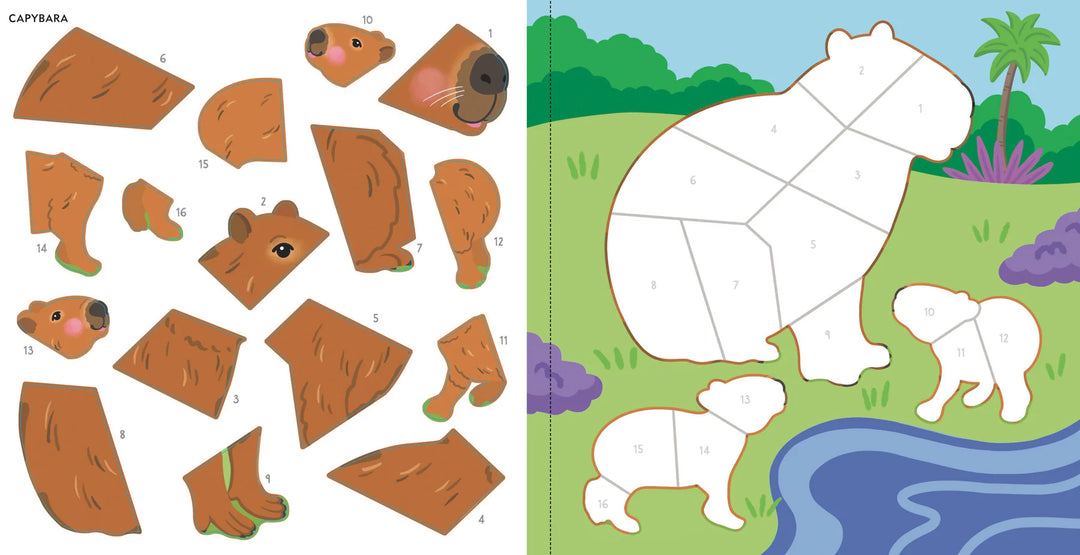 Colour By Sticker - Rainforest Animals