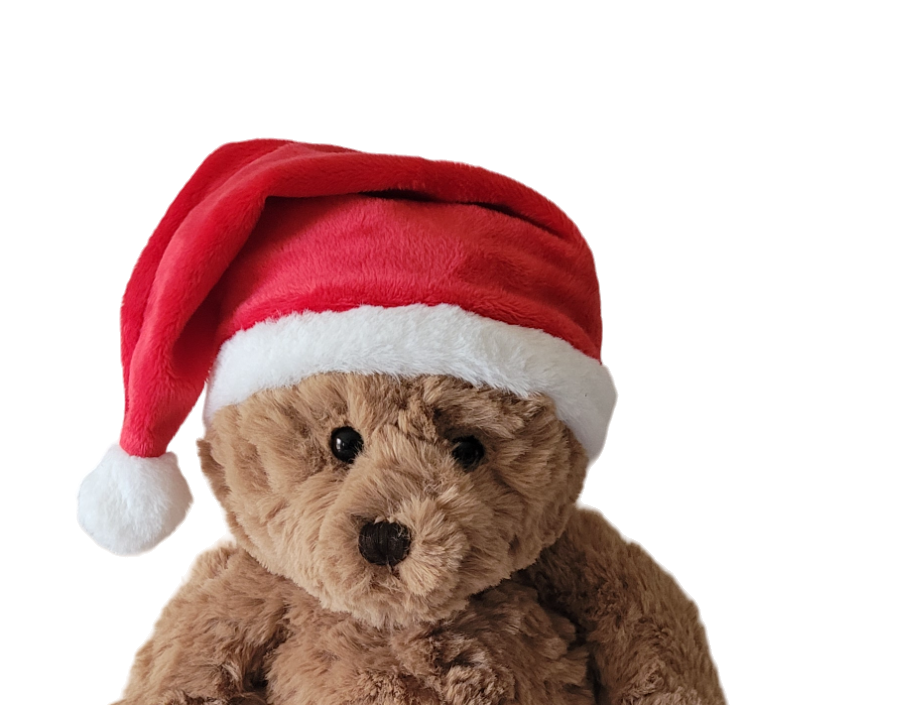 Plush | Santa Hat