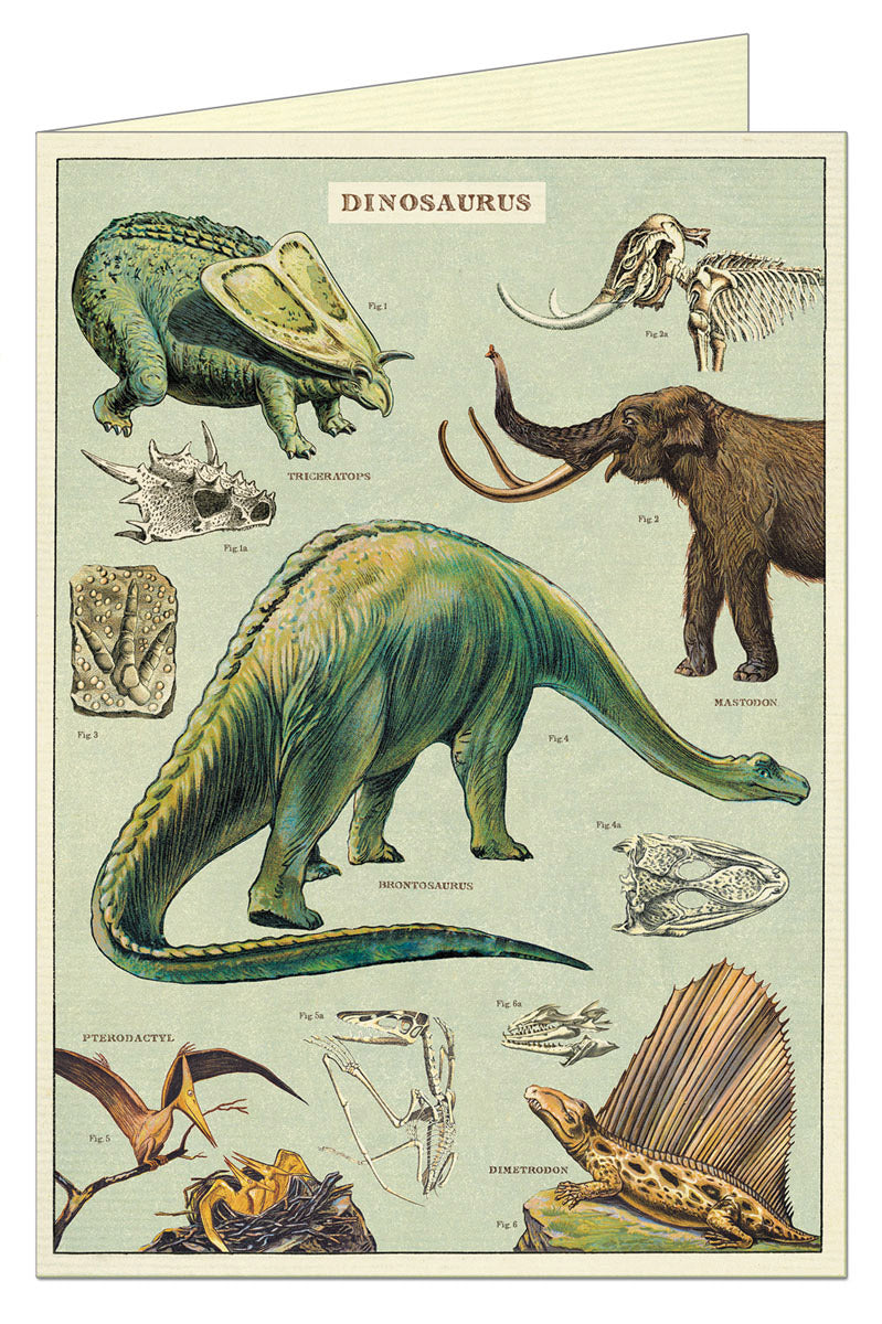Greeting Card - Dinosaurs