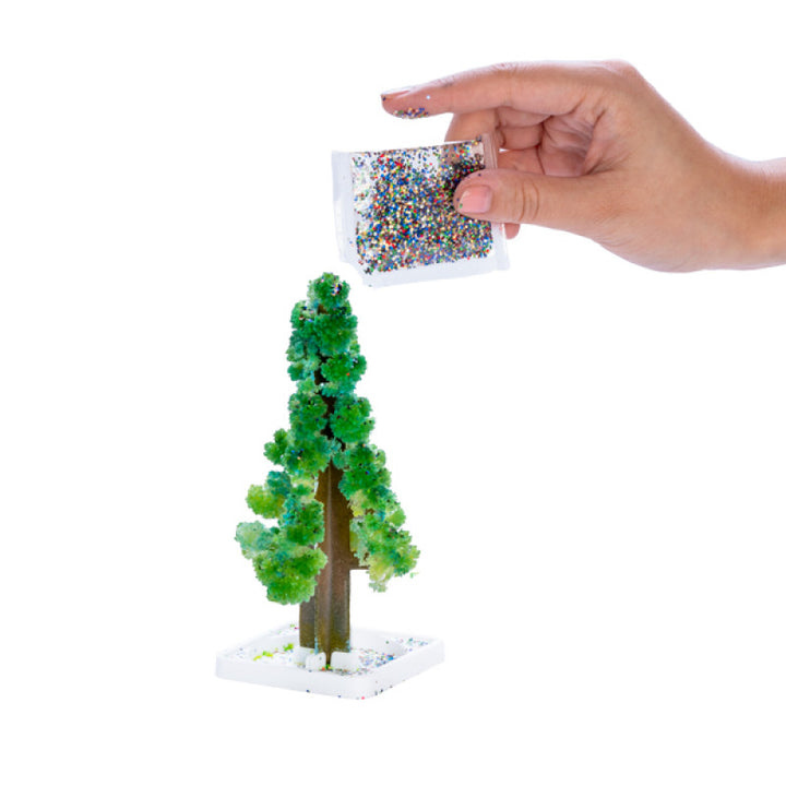 Grow Magic Christmas Tree