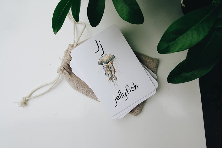 Phonics Flash Cards