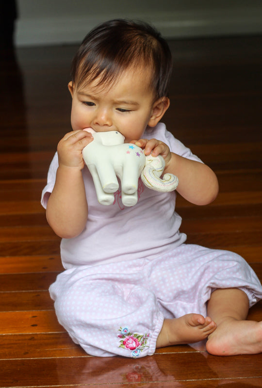 Teether Toy - Cotton Candy Unicorn