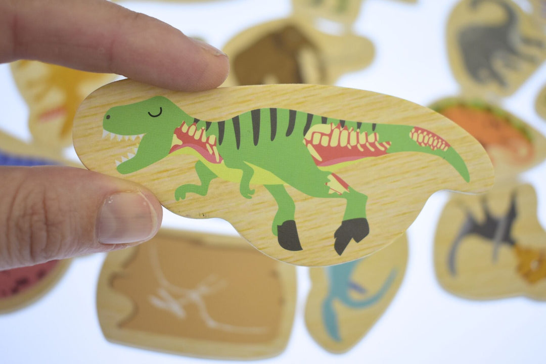 Fridge Friends Magnets - Dinosaurs & Prehistoric Animals 25 pce