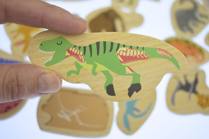 Fridge Friends Magnets - Dinosaurs & Prehistoric Animals 25 pce
