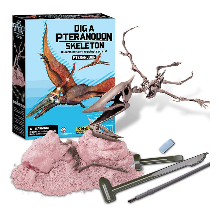 Dig a Dinosaur - Pteranodon