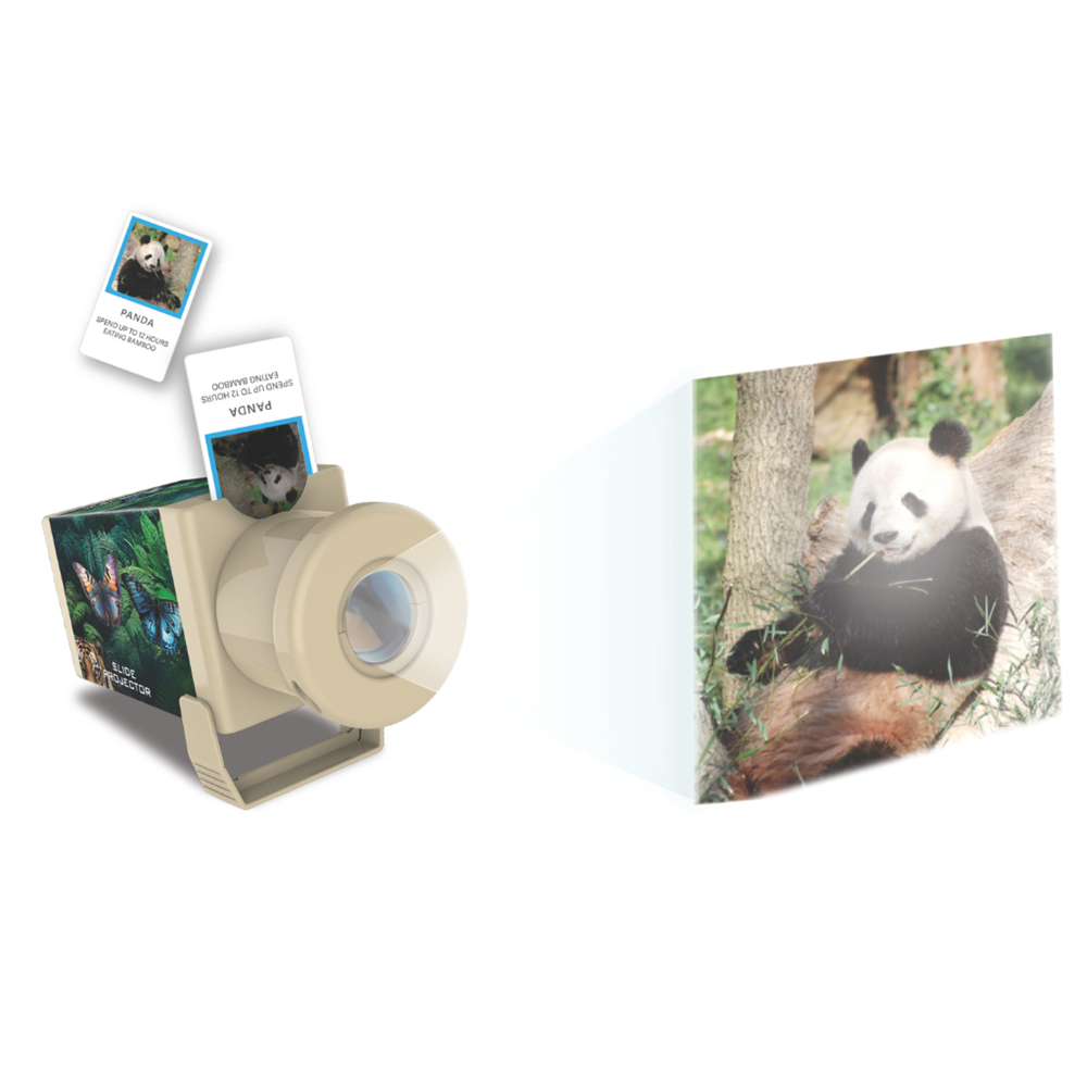 Slide Projector - Wildlife