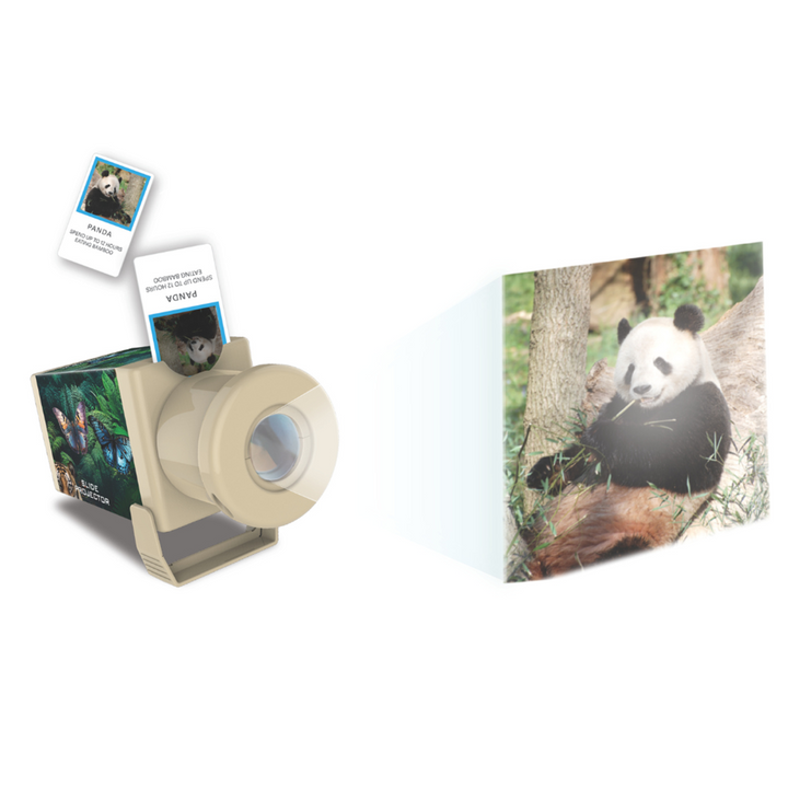 Slide Projector - Wildlife