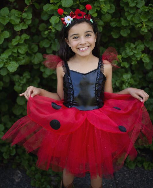Lady Bug Dress & Headband Size 3-4