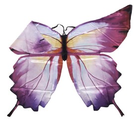 Ombre Butterfly Soft Wings - Size 4-6