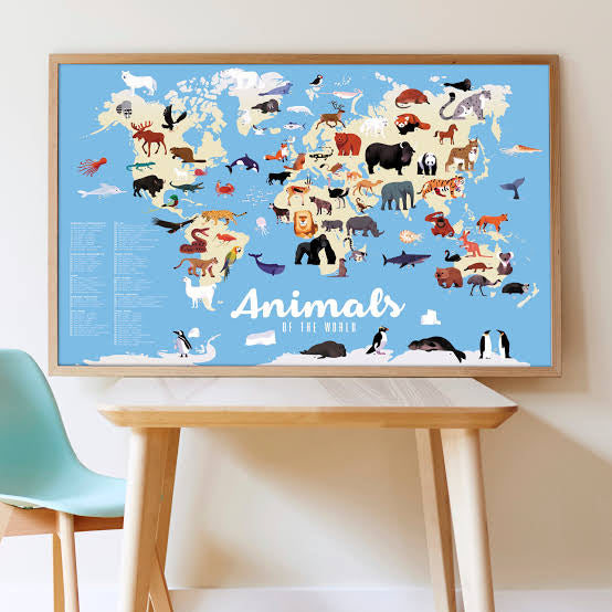 Discovery Stickers - Animals