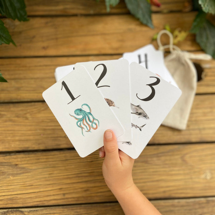 Number and Operations Flash Cards