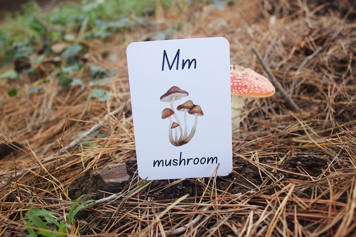 Phonics Flash Cards
