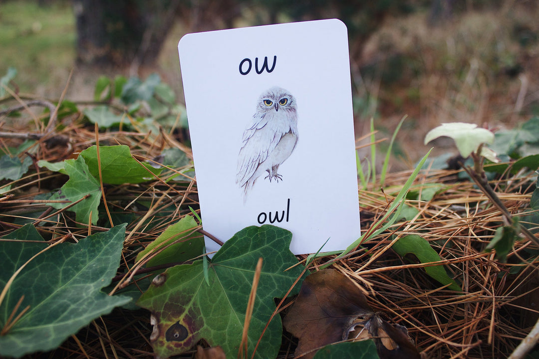 Phonics Flash Cards