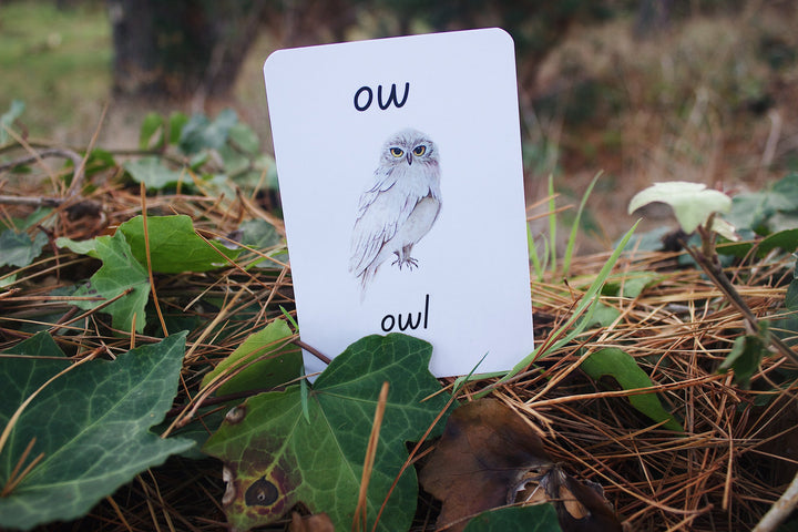 Phonics Flash Cards