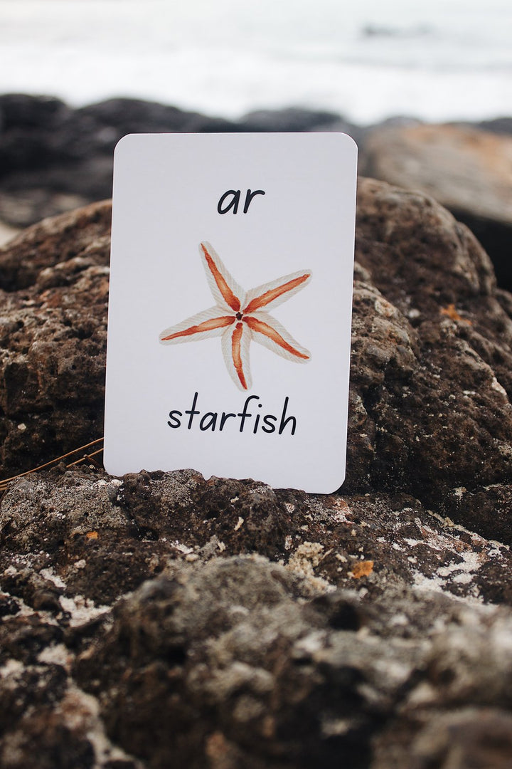 Phonics Flash Cards