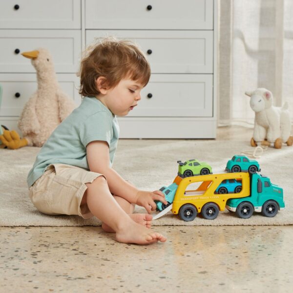 Bioplastic Vehicle Carrier - Assorted Designs