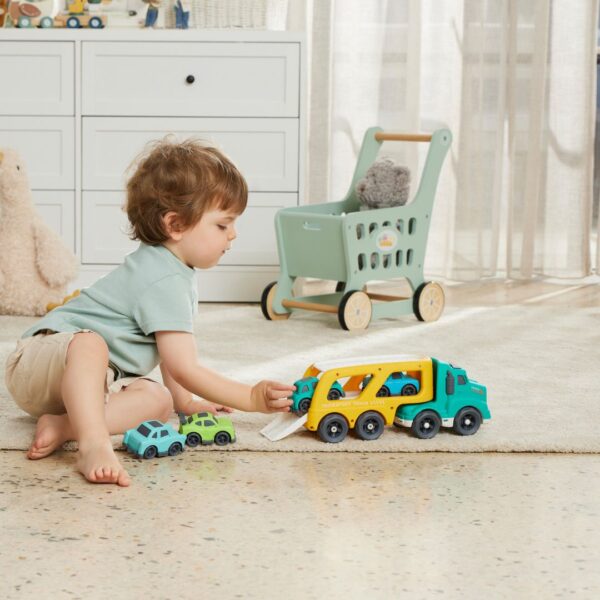 Bioplastic Vehicle Carrier - Assorted Designs