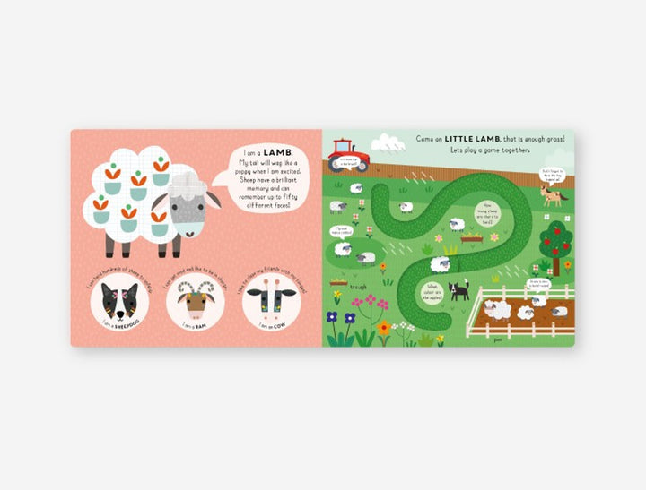 Little Journeys - Little Duck