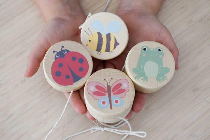 Yoyo | Spring Insect