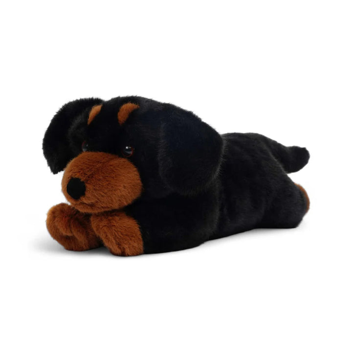 Plush | Pumpkin Dachshund