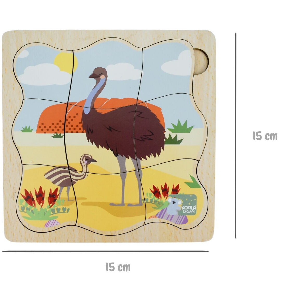 Life Cycle Layer Puzzle