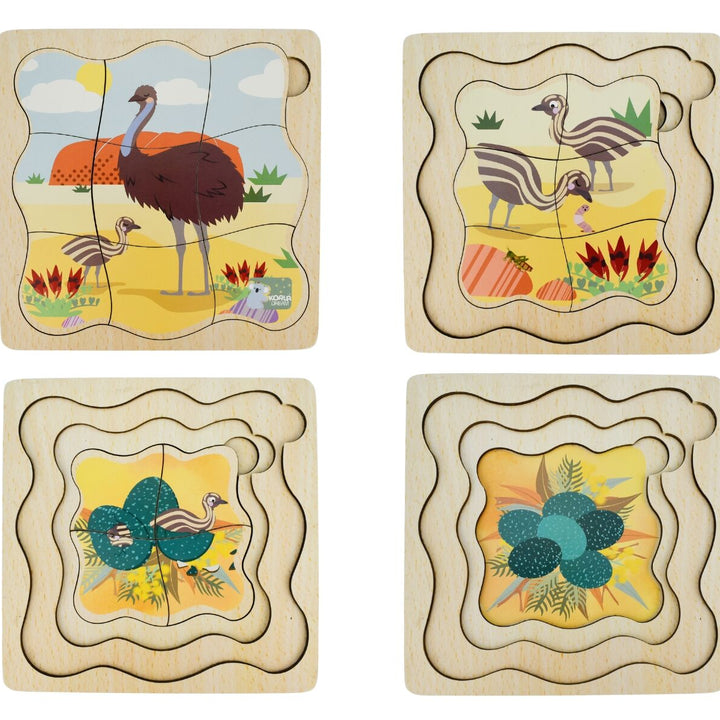 Life Cycle Layer Puzzle