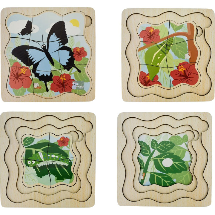 Life Cycle Layer Puzzle