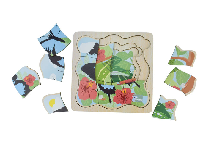 Life Cycle Layer Puzzle