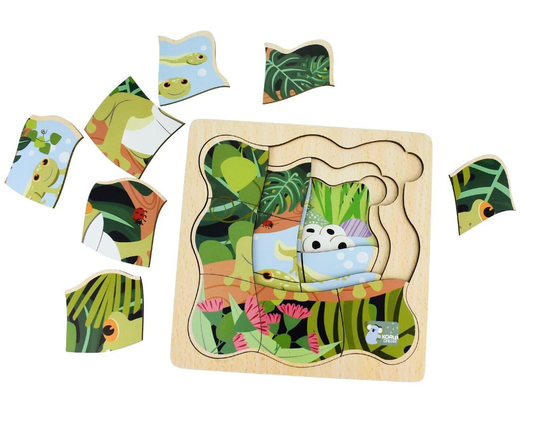 Life Cycle Layer Puzzle