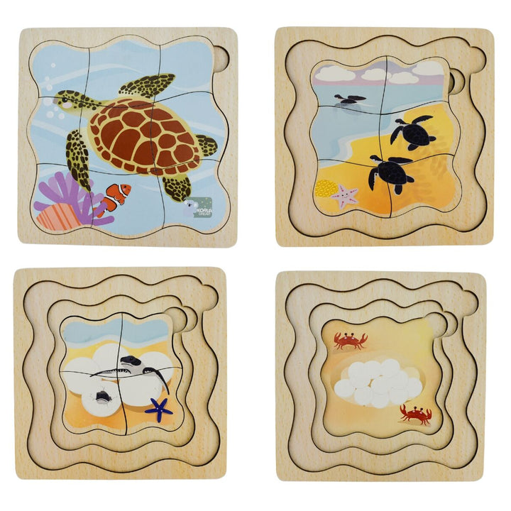 Life Cycle Layer Puzzle